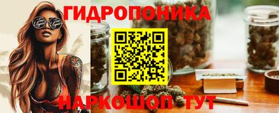 крисы Краснознаменск