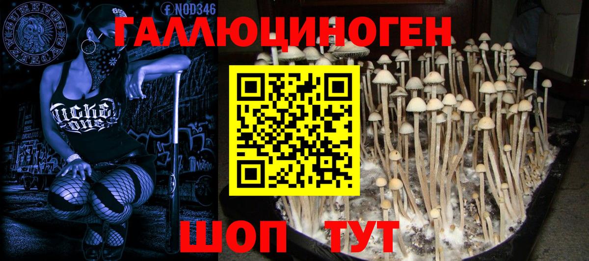 Галлюциногенные грибы мицелий Кизляр
