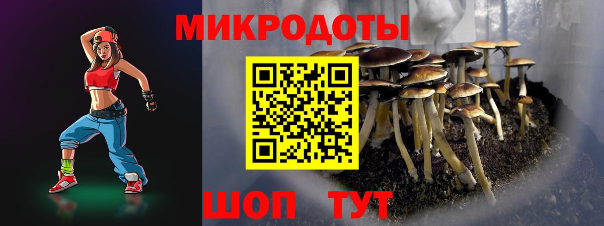 Кизляр  Галлюциногенные грибы Psilocybine cubensis  Вход с VPN 