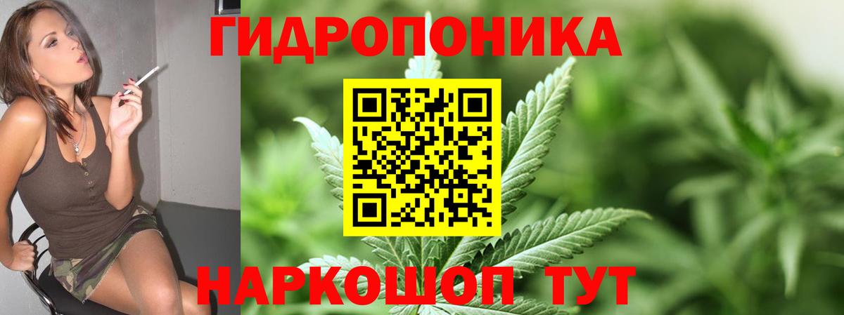 Бошки Шишки Ganja  МАРИХУАНА ГИДРОПОН  Кизляр  Вход с VPN 