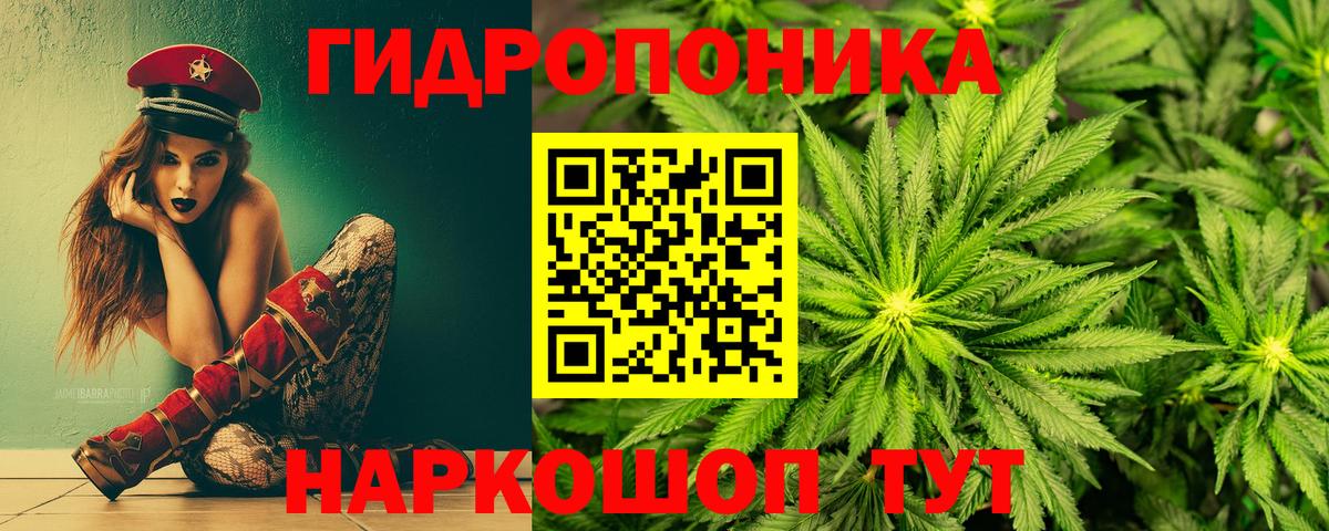 Канабис Amnesia Кизляр